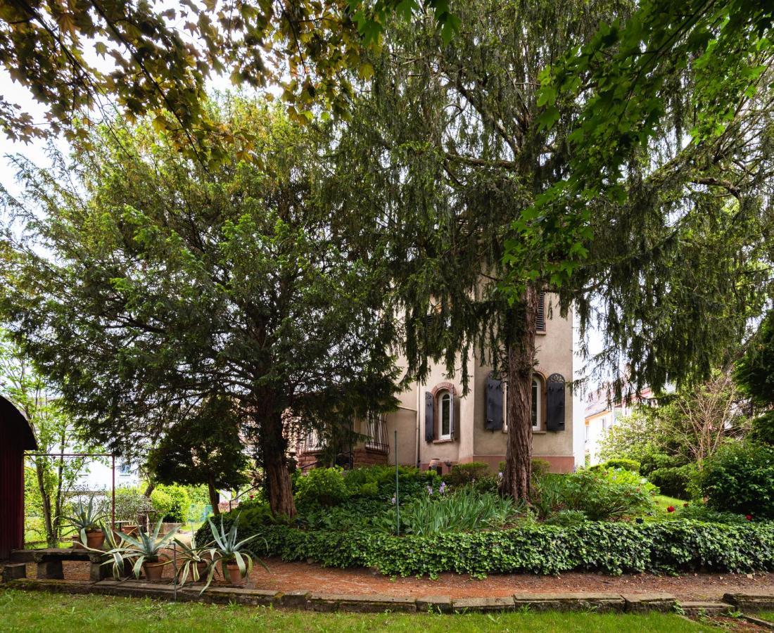 Petit Manoir En Ville - Parking Prive - 15 Min Hyper-Centre สตราสบูร์ก ภายนอก รูปภาพ
